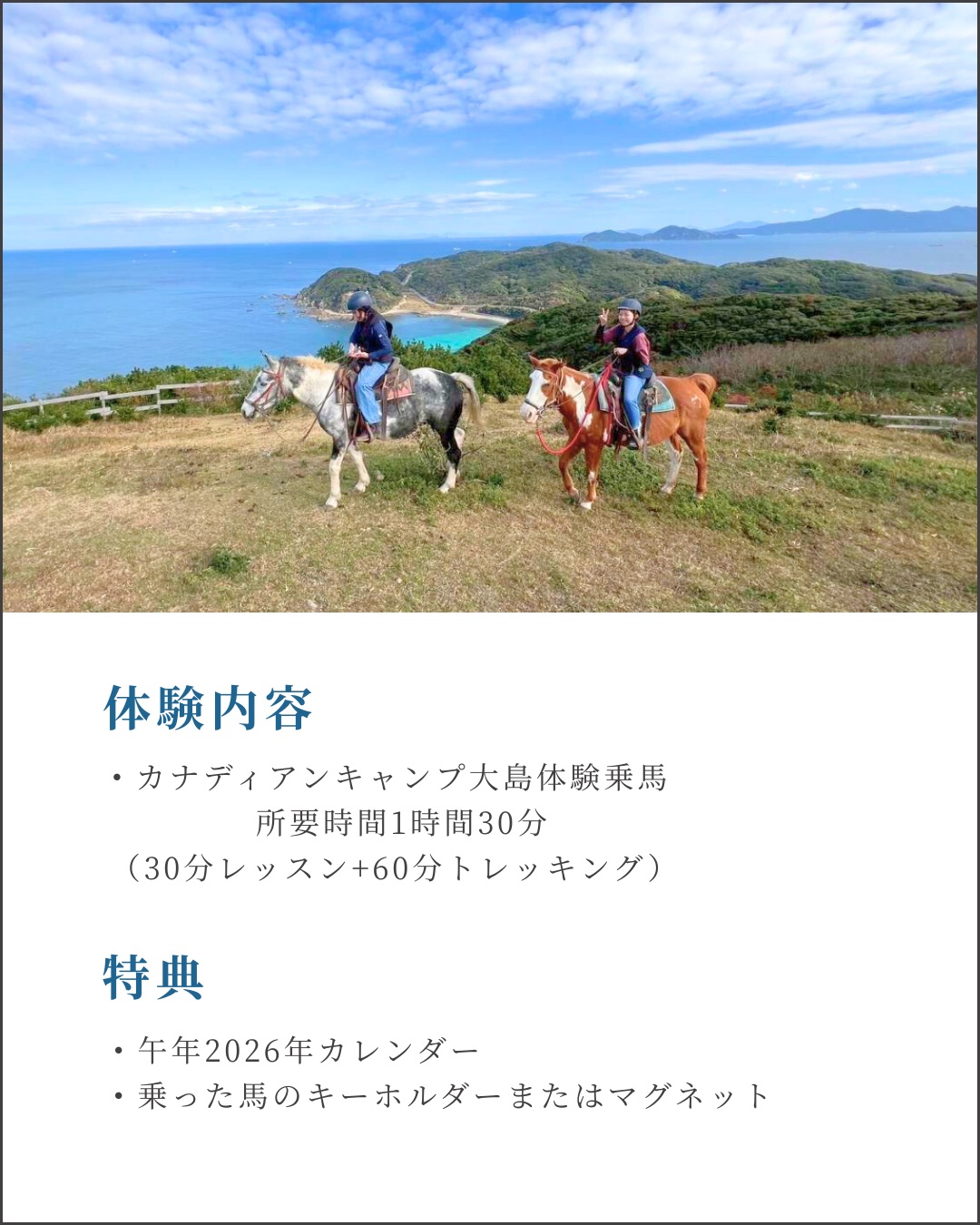 乗馬体験付き宿泊プラン
