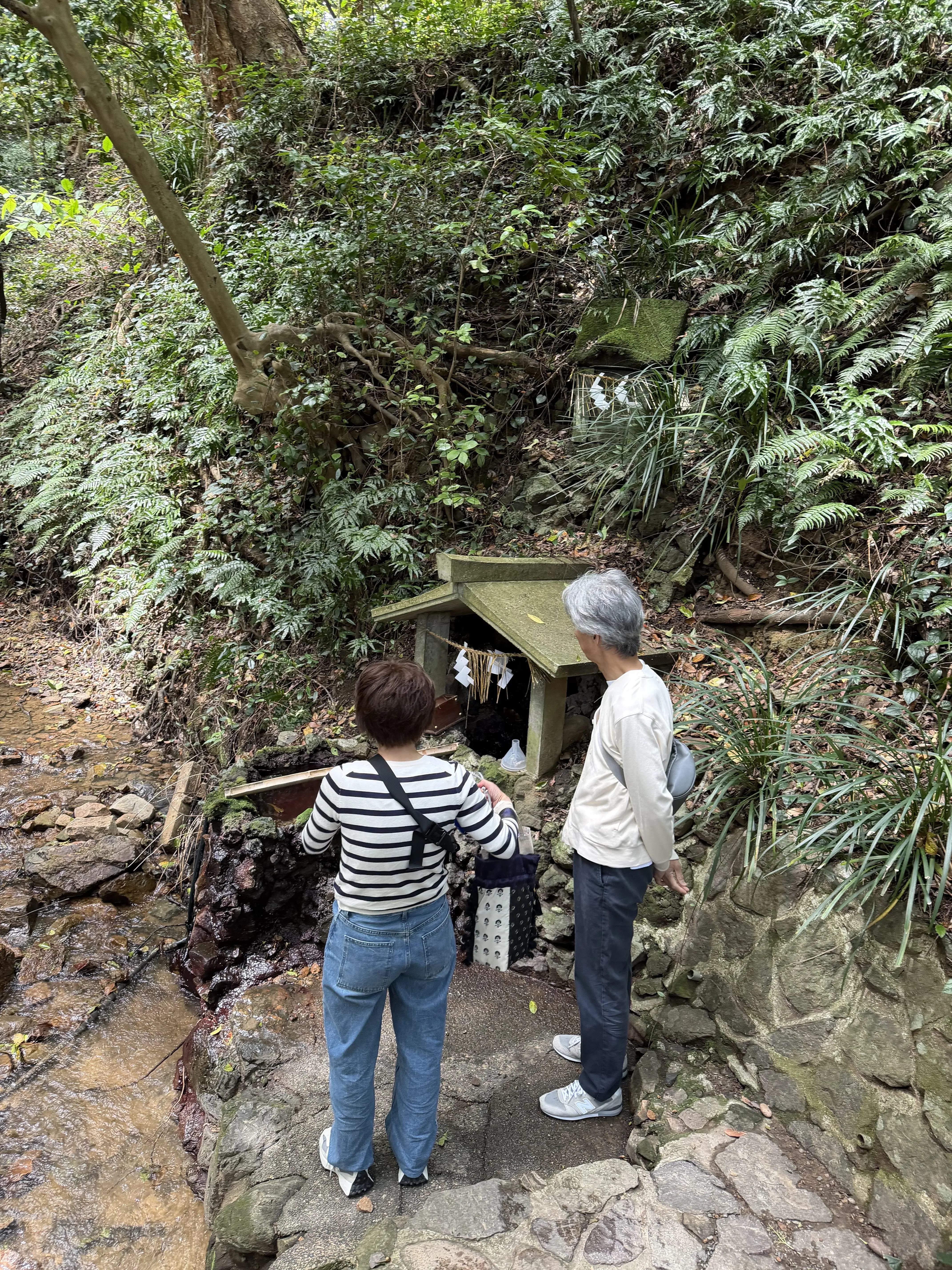お客様の声2
