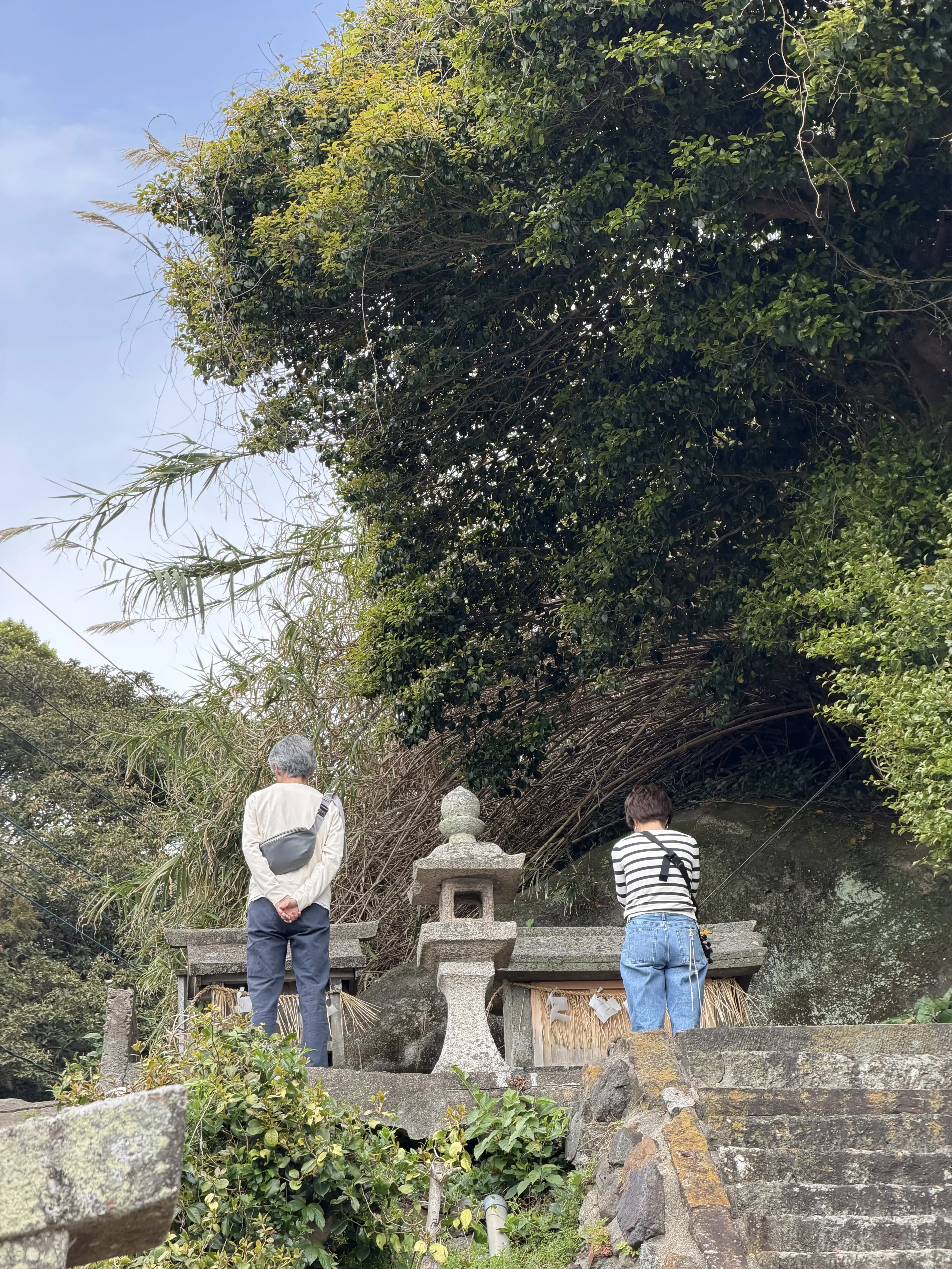 お客様の声4