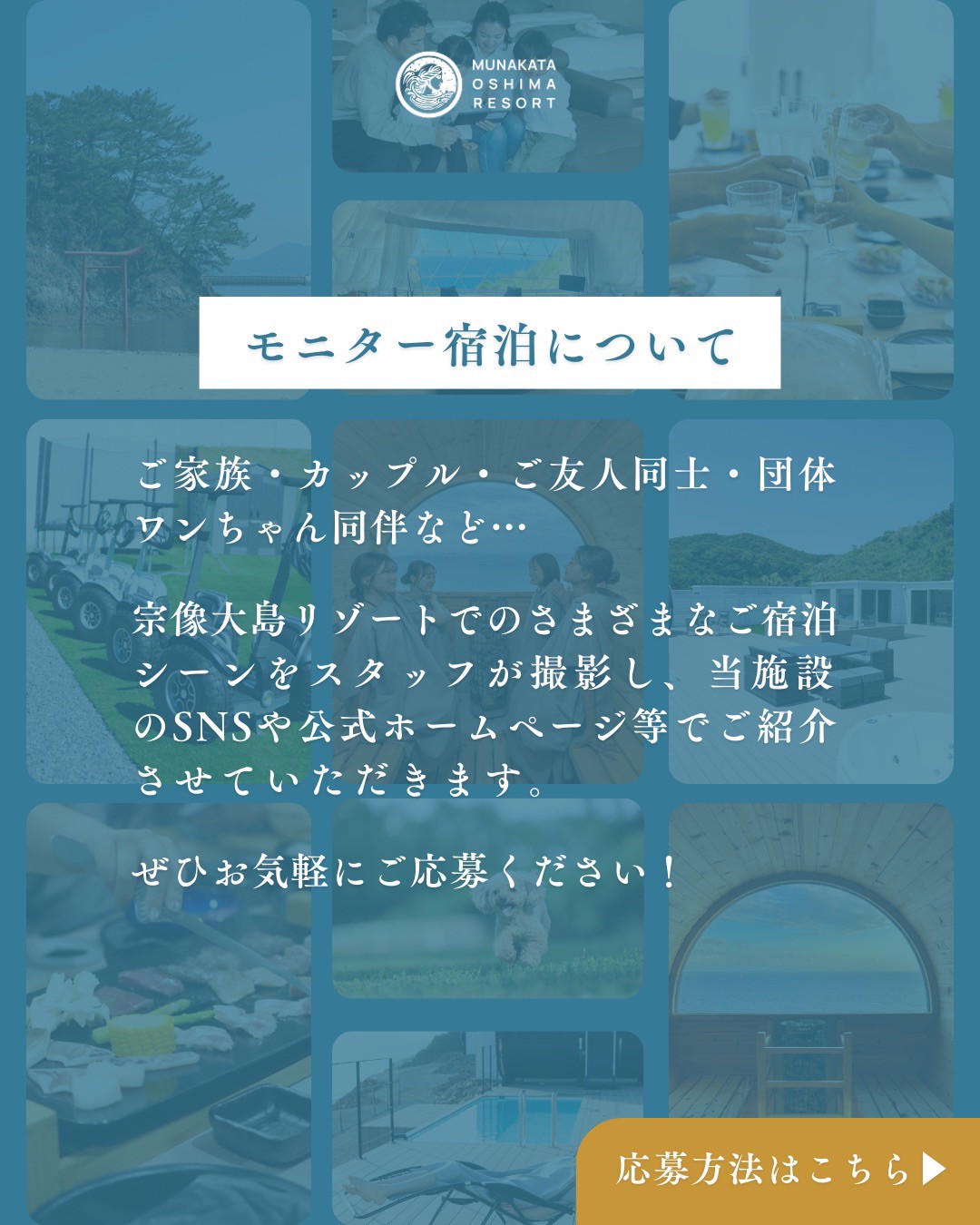 モニタープラン