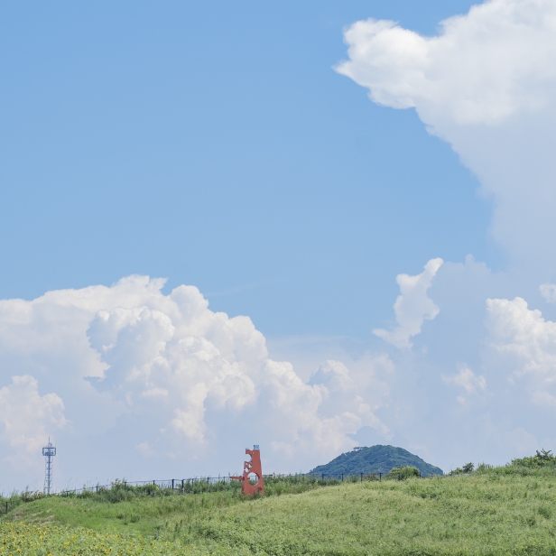 ２日目 大島散歩